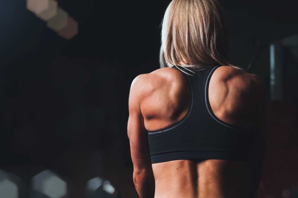 benefits of creatine build muscles female