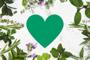 The 5 Best Herb Supplements for Heart Health