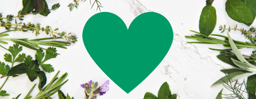 The 5 Best Herb Supplements for Heart Health