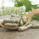 Enzyme Supplements: Digestion and much more